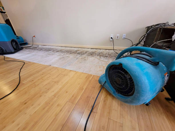Professional Water Extraction technician working in Firth, NE